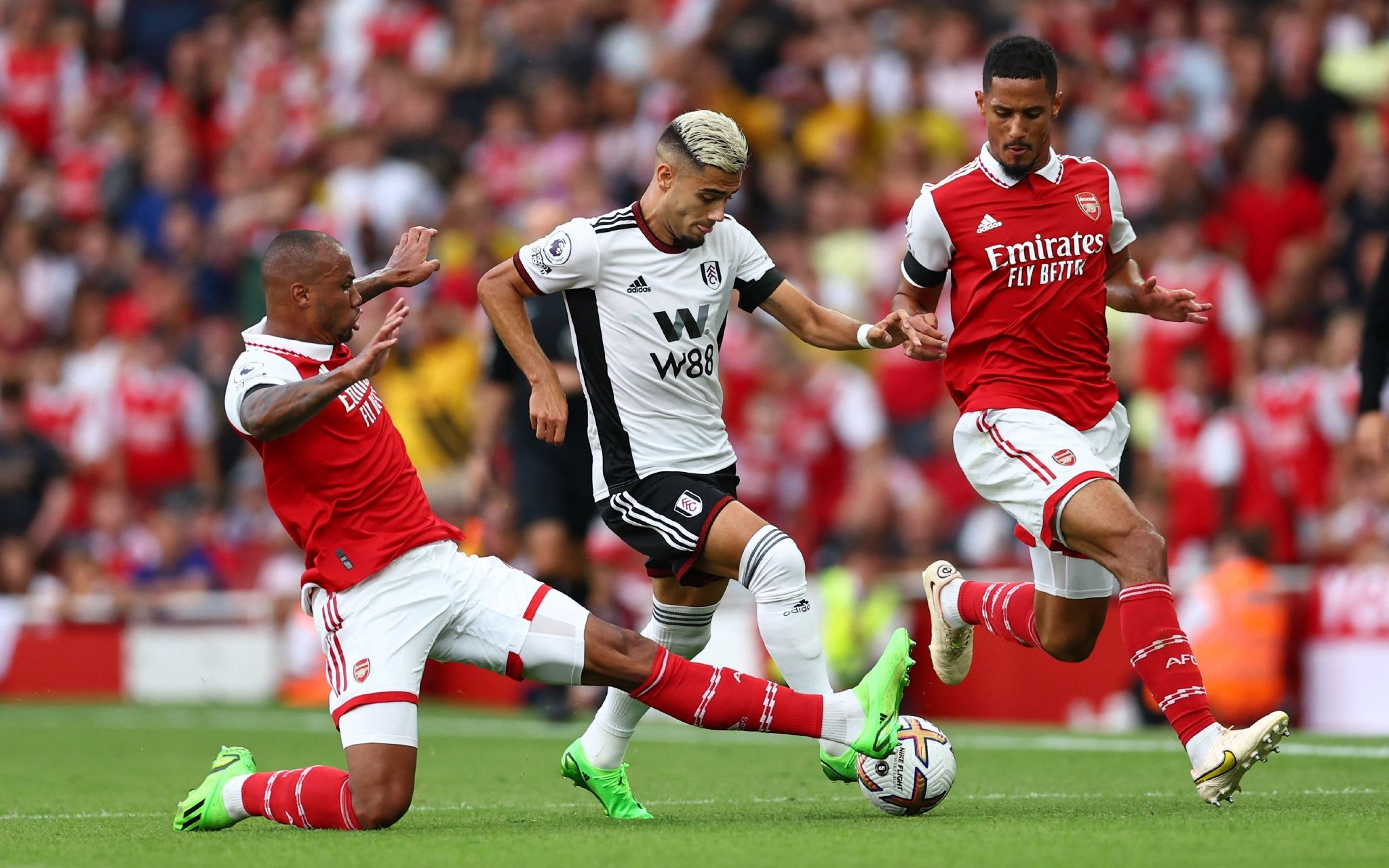 到王楚钦如 到王楚钦如