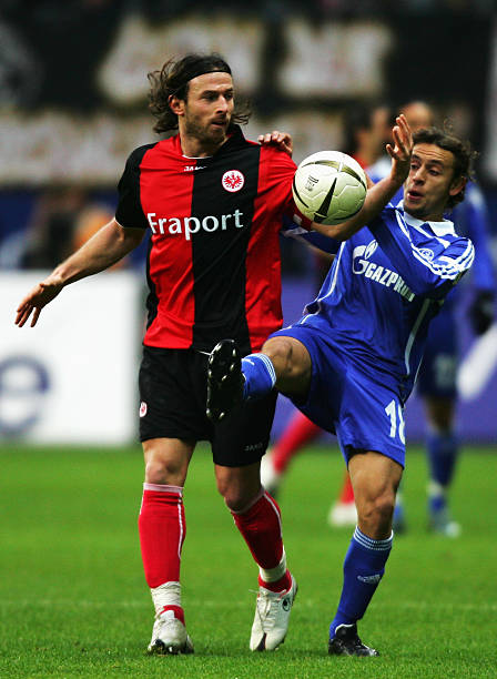 辛勤训练的 辛勤训练的